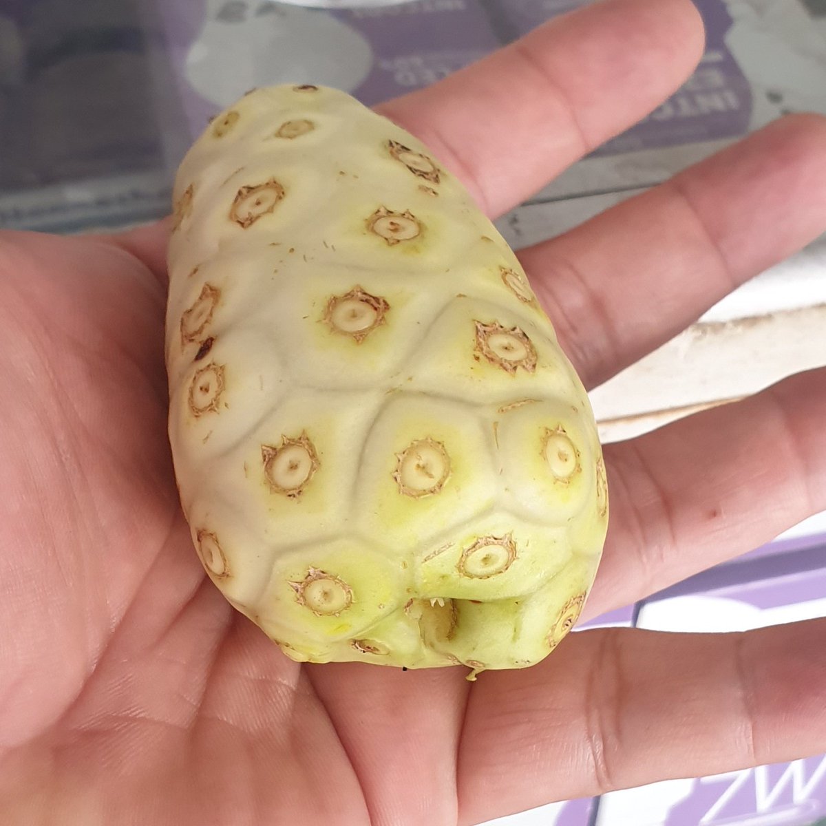 Jambu Singapore.... bisa meningkatkan imune tubuh sehingga tidak bisa kena stun... 

#humor #janganserius