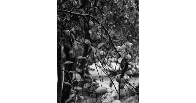 [전시] 《이토록 아름다운》
섹션 2. 공백으로부터―사유를
"우리는 공백으로부터, 공백을 감각하며 함께 사유한다. 그리고 서로를 다독이며 앞으로의 삶을 이어갈 힘을 채운다."

• 6월 1일부터 트위터 채널 운영이 종료됩니다. BMA 인스타그램, 페이스북 채널을 통해 소식을 받아보세요.