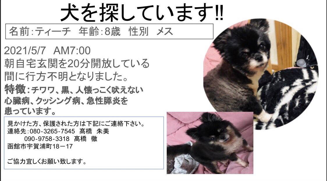 おっぺ Opperize Twitter