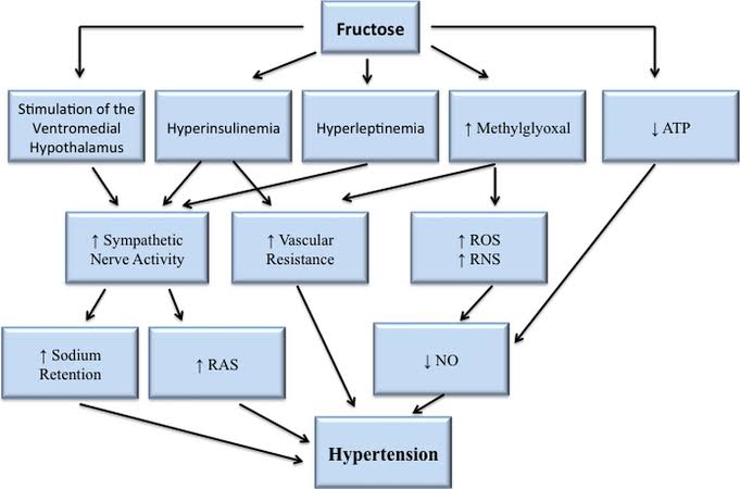 Pic 1: Mechanism by which Excessive Sugar result to Hypertension.Pic 2: Some Heart diseases caused by excessive Sugar.PS Excessive sugar = Heart diseases, Obesity, Diabetes & StrokeExcessive Salt = Heart diseases & StokeExcessive Fat = Heart disease, Obesity & Stroke.