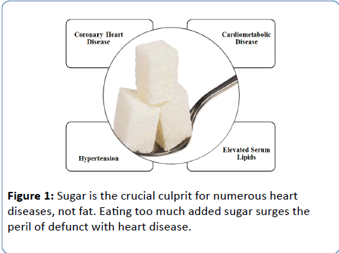 Pic 1: Mechanism by which Excessive Sugar result to Hypertension.Pic 2: Some Heart diseases caused by excessive Sugar.PS Excessive sugar = Heart diseases, Obesity, Diabetes & StrokeExcessive Salt = Heart diseases & StokeExcessive Fat = Heart disease, Obesity & Stroke.