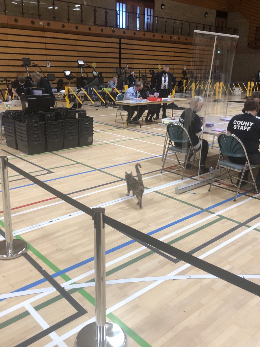 David Delday tweet media