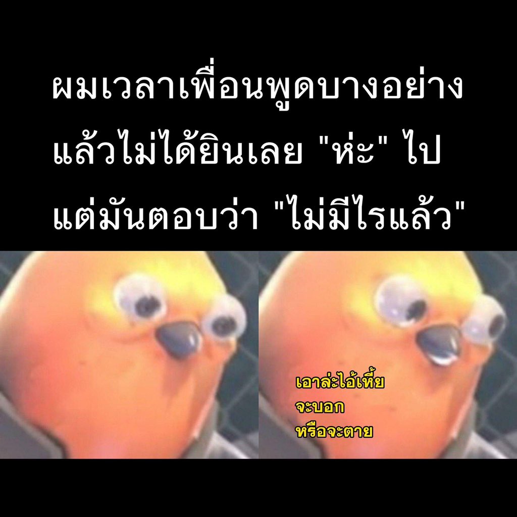 กุเป็นกับเพื่อนสนิทตลอด ห่ะะะะะ มึงพูดไรวะ55555555555555