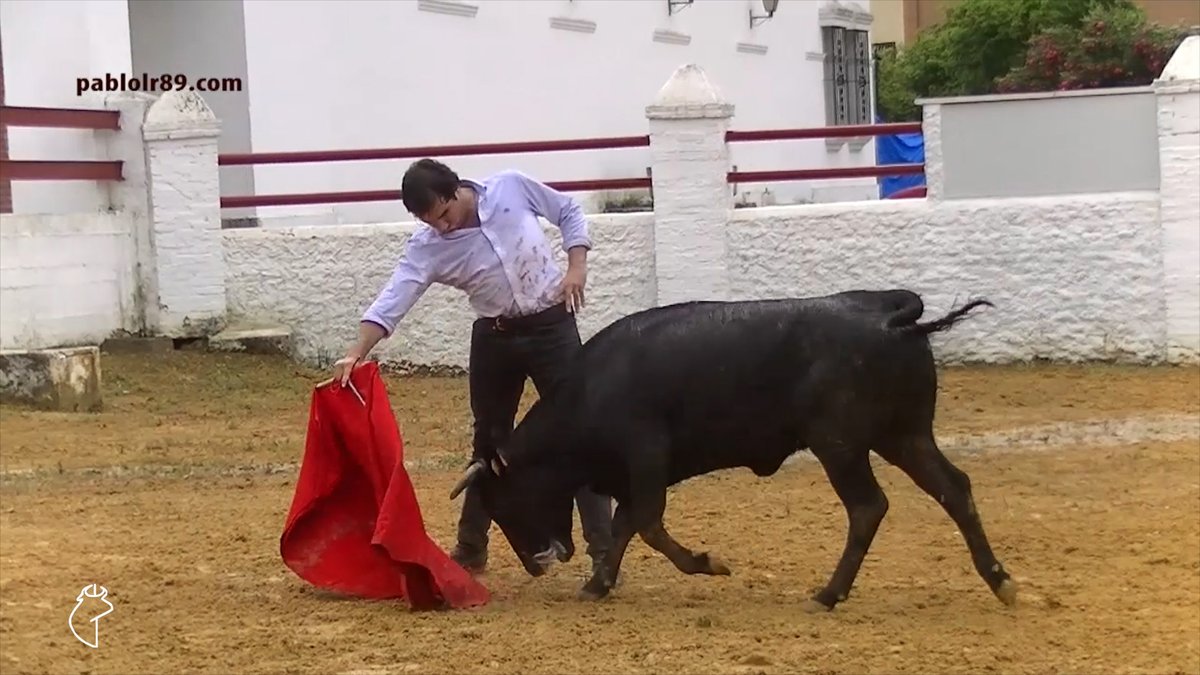 razatoros's tweet photo. 🔸 ¿Sabes como torean los jóvenes ganaderos de
@Toroslidia? En el 25º RAZA de la segunda temporada te lo enseñamos.
👉 https://t.co/r2KNI1IXwX
#lajuventudalpoder @santidm98 @CARLOSNUNEZ94 @danieldlff https://t.co/jGLDJaLTJJ