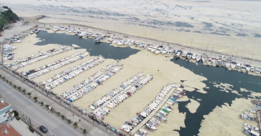 DENİZ SALYASI SORUNUNDA İHMAL Mİ VAR ? bursa.com/deniz-salyasi-…