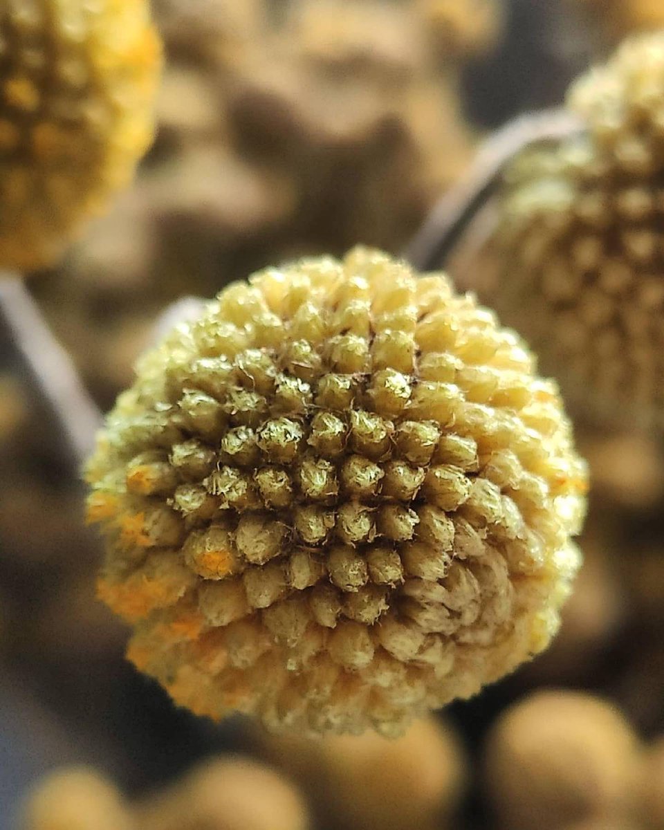 Igers Gallery tweet media