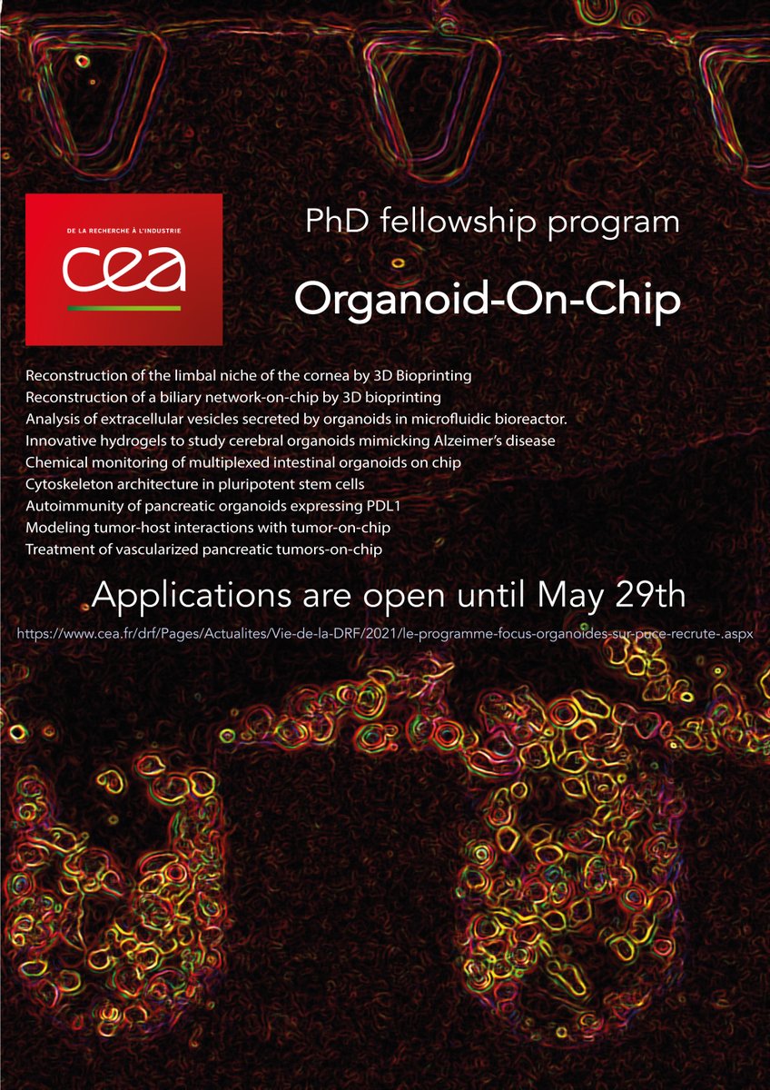 THERY Manuel tweet media