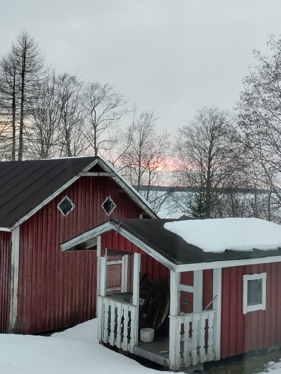 a_rkarna's tweet photo. #KainuuMaailmalla #MaailmaKainuussa #Kajaani360 #atHomeinKajaani #DiscoverEU #MinunEurooppa #MeidänEurooppa #EuropeDay2021 #EuropeDay https://t.co/p7OzkP9tAX