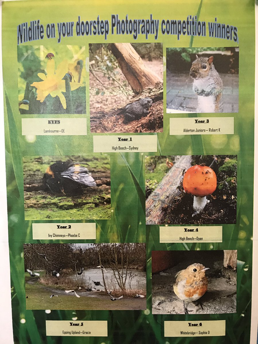 The winners have been announced for the MAT’s ‘Wildlife on our Doorstep’ photography competition final... Well done everybody - but special congratulations to Gracie (Year 5 winner) and Isabella, who came first overall!! Very proud of you!