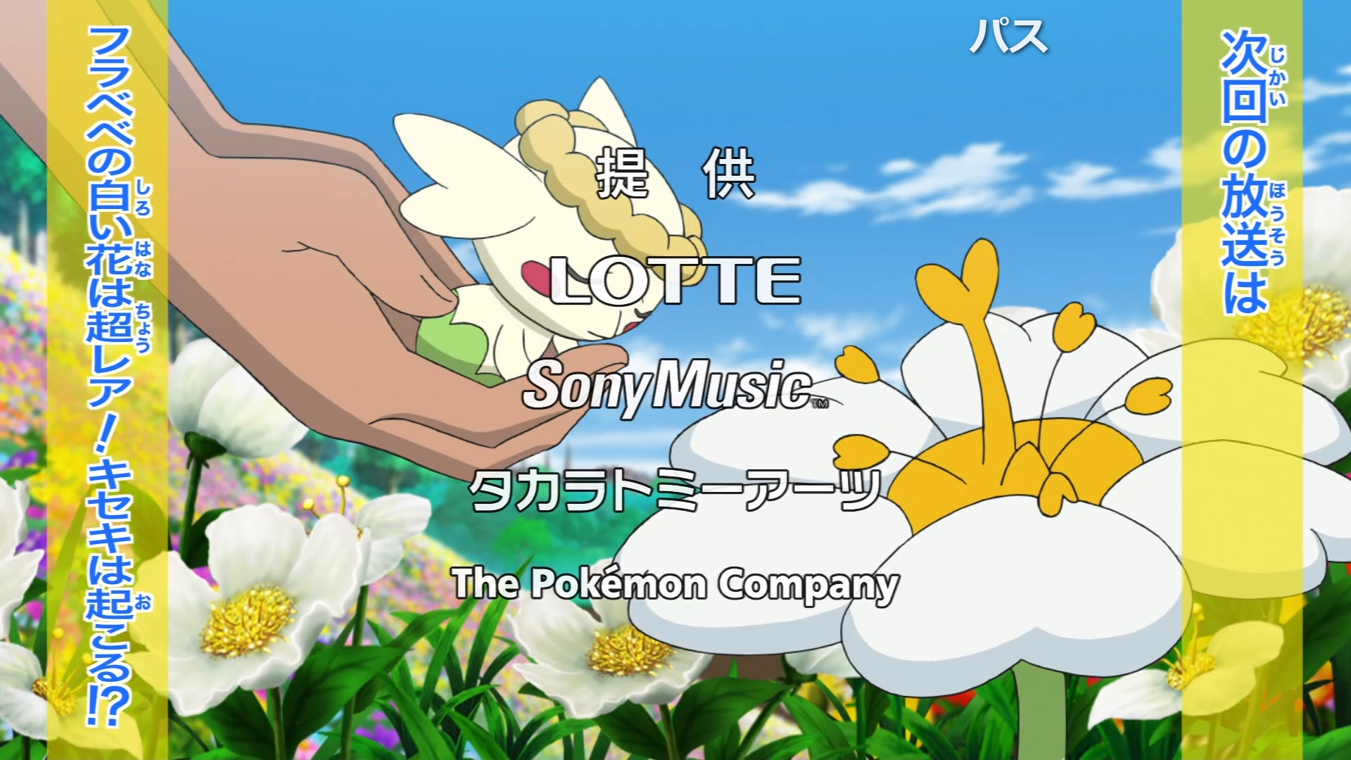 Koichil キセキ フラベベ回でこれは意識してますよね アニポケ T Co Ra7di0her1 Twitter