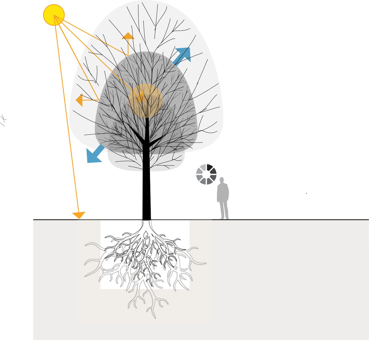 thrilled to announce that <a href="/CLICK_NL/">CLICKNL</a> has just awarded our consortium led by <a href="/BKTUDelft/">BK TUDelft</a> and <a href="/idetudelft/">IDE TU Delft</a>, a 3 year co-funding research grant to work on #urbanforestry and urban #bioresilience in a project entitled i-Tree 2.0-NL, with top partners!