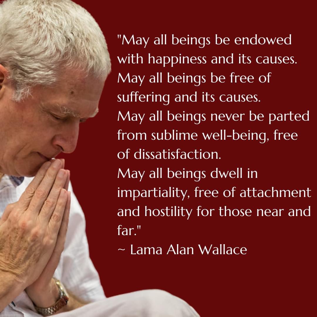 Karin Olsen - Plant Powered KO (@plantpowerprod) on Twitter photo 