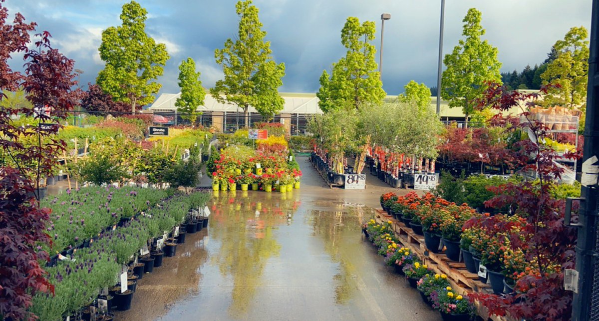 Aimee Wang tweet media