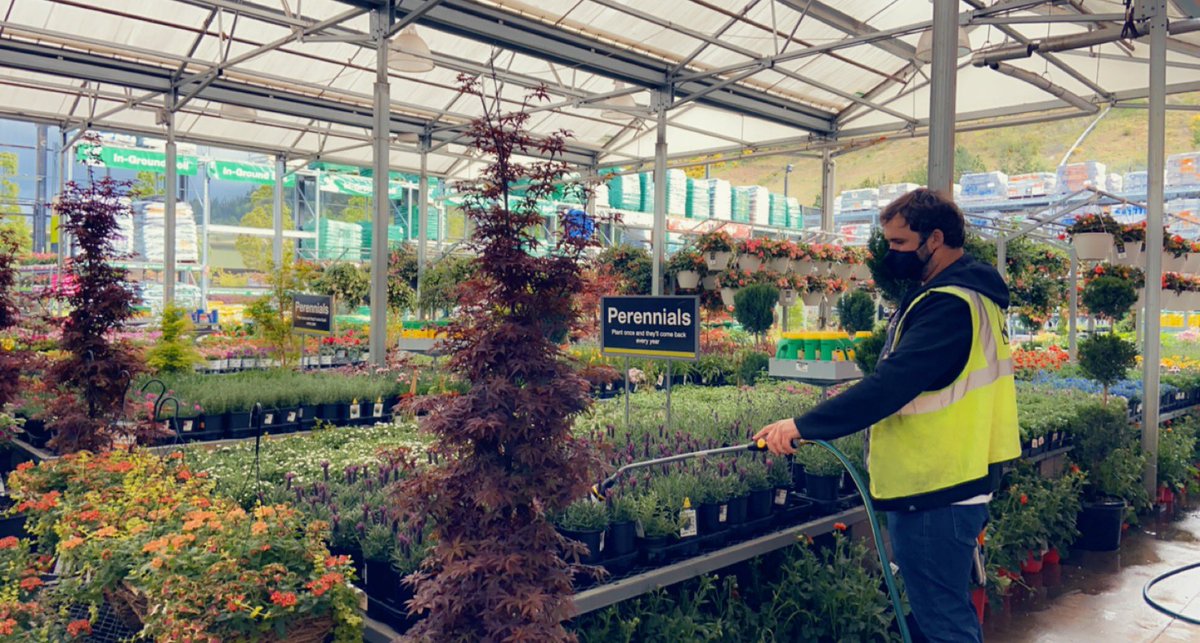 Aimee Wang tweet media