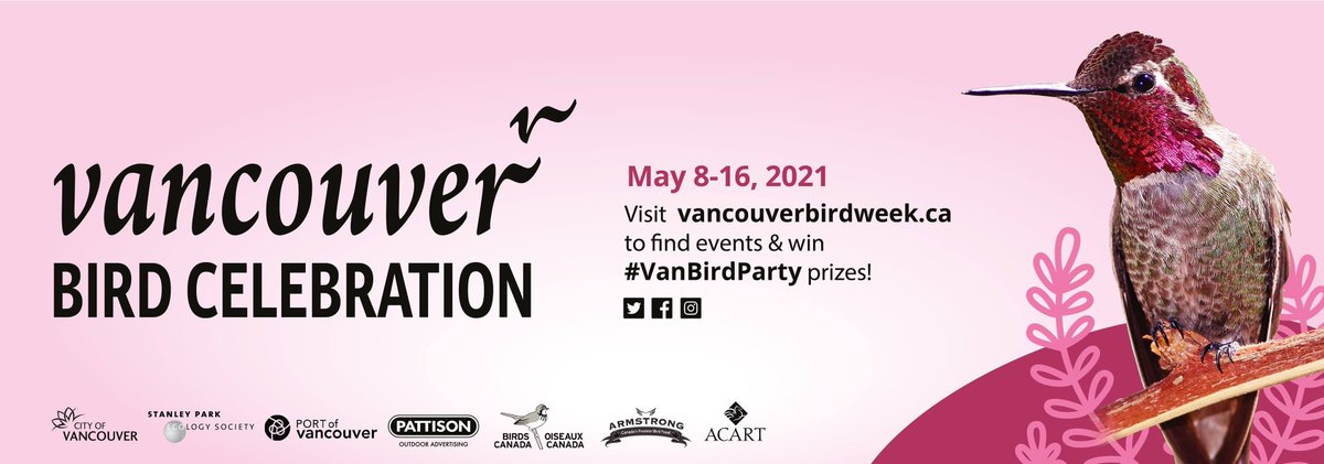 Vancouver Bird Celebration is almost here! From May 8-16, you can take part in several events - many free and online - celebrating our migrating feathered friends. Learn more in our new Field Notes post at bcbirdtrail.ca/field-notes/ev…

@VanBirdCelebration @StanleyParkEco #VanBirdParty