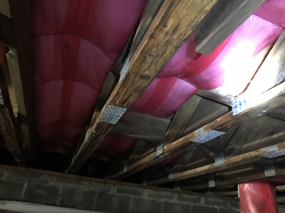 The home buyer requested a mold inspection before closing on the property. This is always a smart choice before you make a major investment in a home! #mold #molddamage #moldremoval #moldremovalcompany #moldremediation #moldremediationcompany