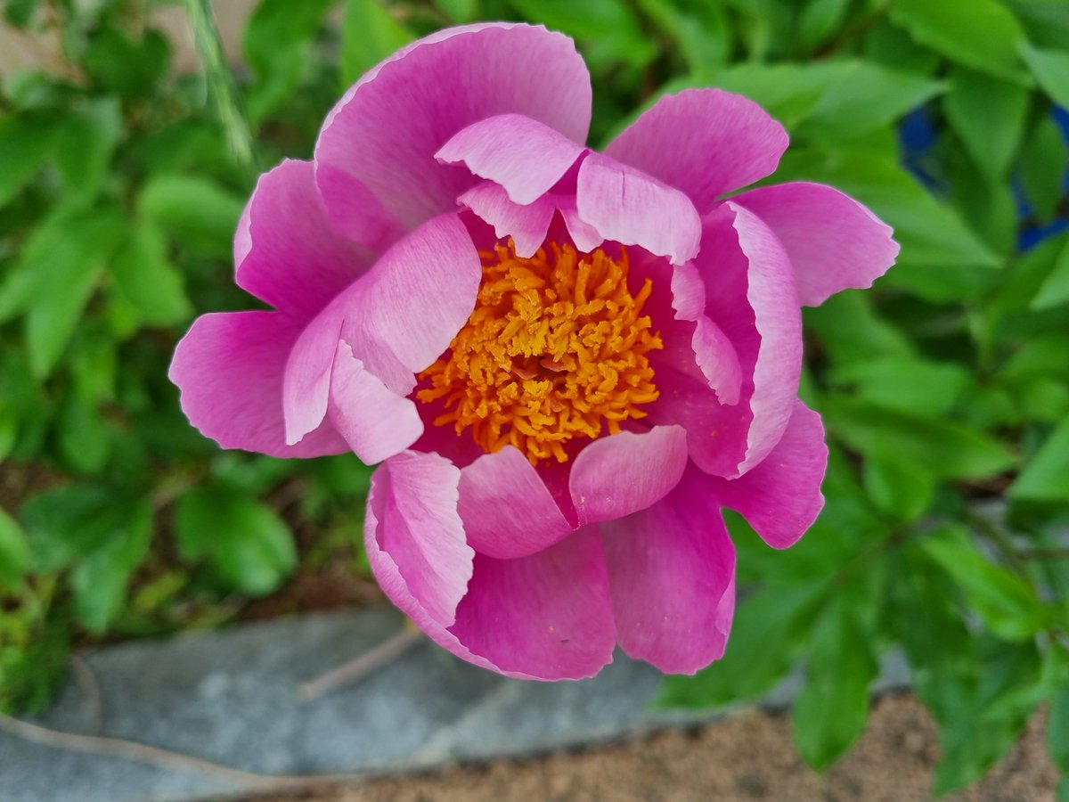 보고 싶다고 말하면
네가 너무 슬플까봐
꾹꾹 눌러 담았습니다

내 맘이 아프다고 말하면
네 마음이 더 아플까봐
꿀꺽 삼켰습니다

그립다고 말하면
네가 더 안타까울 까봐
그냥 웃었습니다.