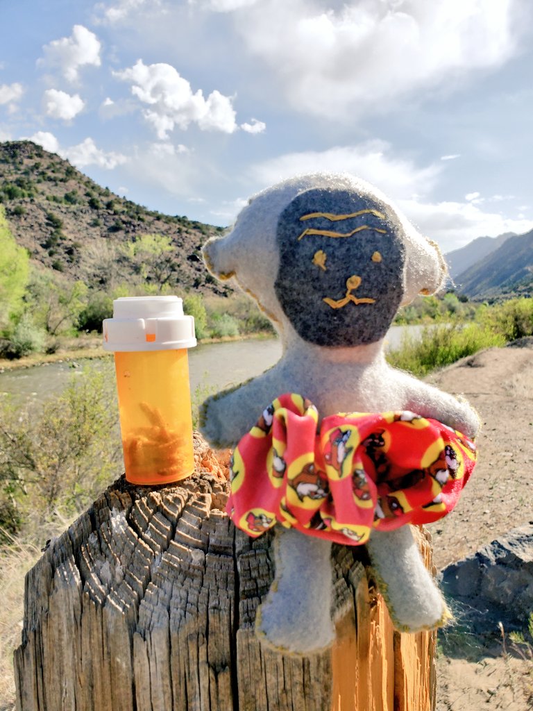 Stopped to have a look see at the Rio Grande River. Annnnd that a prescription bottle of maggots. Don't knock it until you try it.