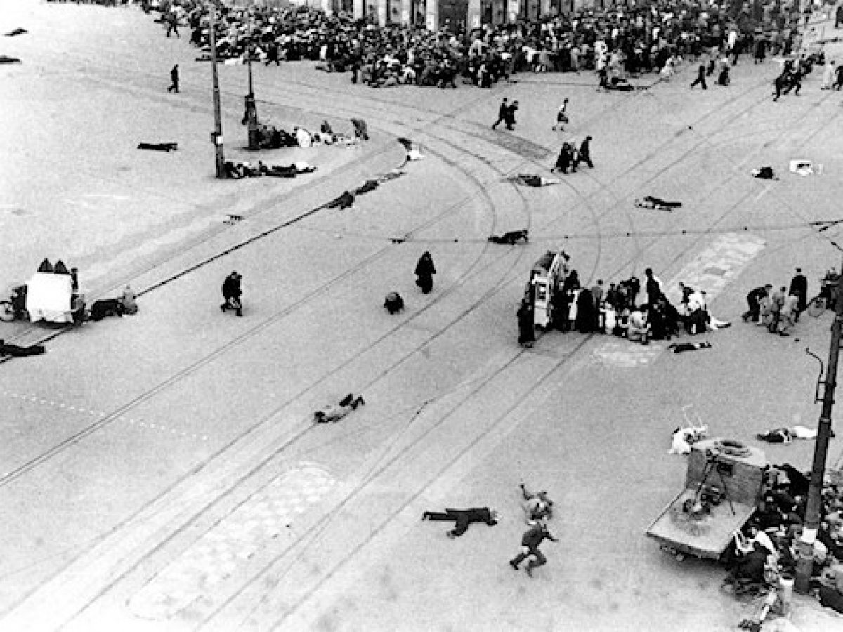 Thread: On this day, 7th May, in 1945, German Kriegsmarine troops opened fire on Dutch civilians, that had congregated to celebrate the arrival of Allied forces, in Dam Square, Amsterdam.This thread will examine what occurred.