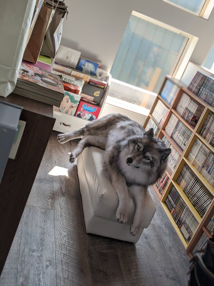 漫画部屋にオオカミ と思ったら アートドール という作品だった話 Togetter