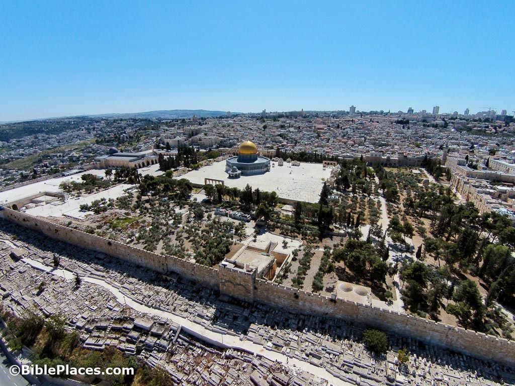 BiblePlaces's tweet photo. The happy ending of 2 Samuel: David builds an altar at the future site of the temple in thanksgiving for the Lord's great mercy. https://t.co/Ucj56sipc7
