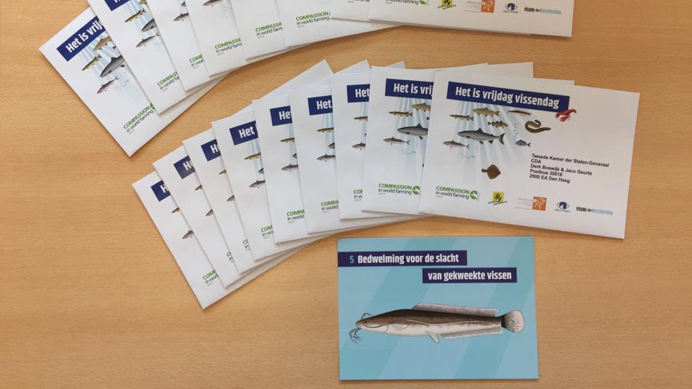 Dierbescherming's tweet image. 'Verplicht bedwelming voor de slacht van gekweekte vissen' bit.ly/3e81cgT.

Deze week gaat kaart nummer vijf ihkv #VissenVrijdag naar de politiek. 

Hierin aandacht voor verplichte #verdoving tijdens de slacht. Wij vinden dat vissen hier recht op hebben.