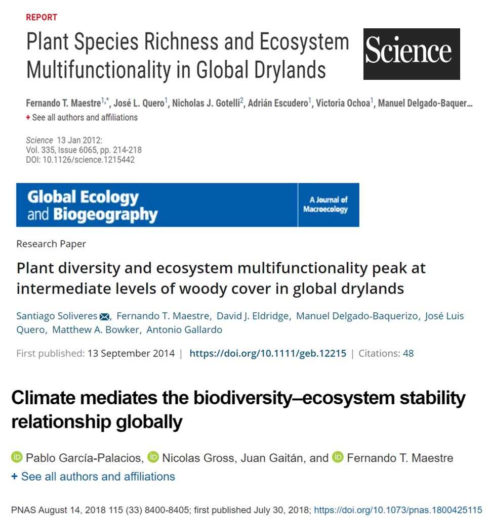 4/6 The role of plant composition and diversity…Decreasing plant diversity and altered plant composition in response to aridity reduces  #dryland productivity, and multiple other ecosystem processes (i.e. dryland  #EcosystemMultifunctionality), as well as drylands' stability.