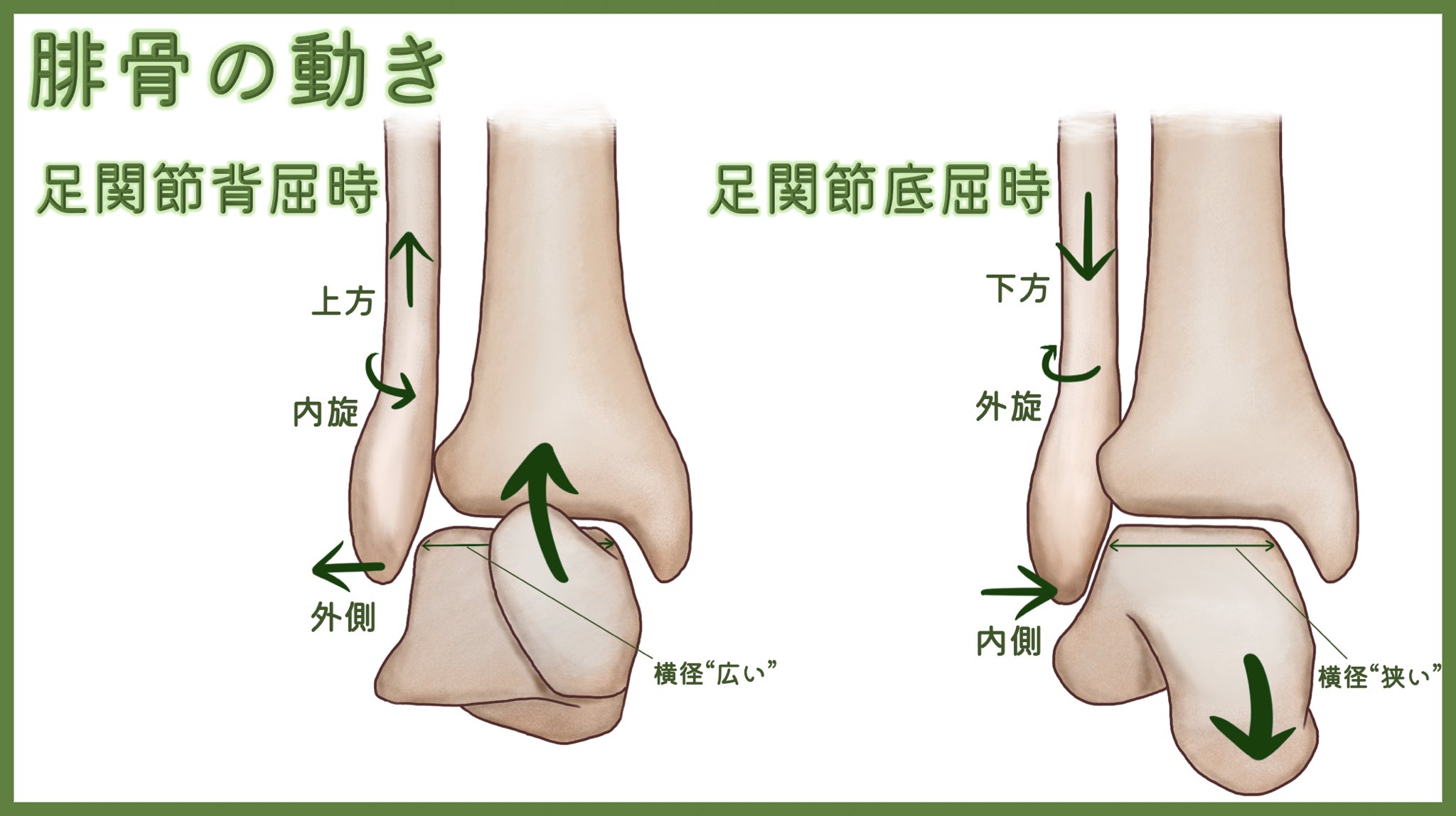 腓骨 Twitter Search Twitter