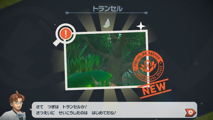 ぽるか S Recent Tweets 8 Whotwi Graphical Twitter Analysis