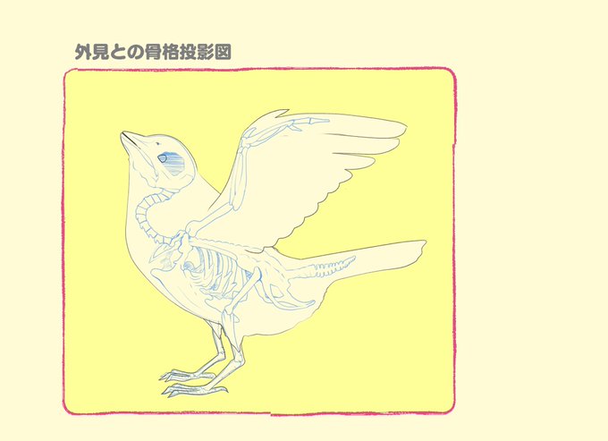 書き方 高画質 のtwitterイラスト検索結果 古い順 書き方 高画質 のtwitterイラスト検索結果 古い順