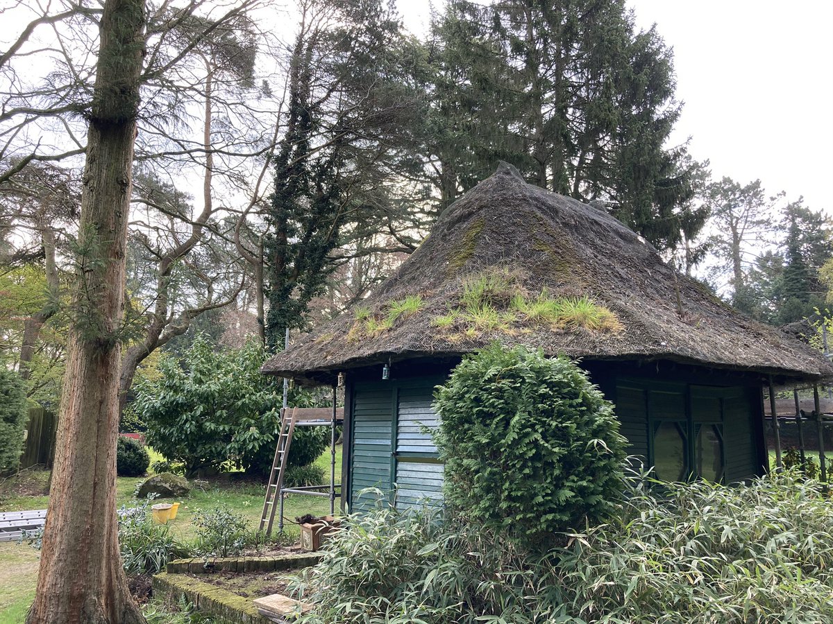 Lovely 8 sided Japanese style summer house completed today. Thatched in water reed with a sedge ridge.