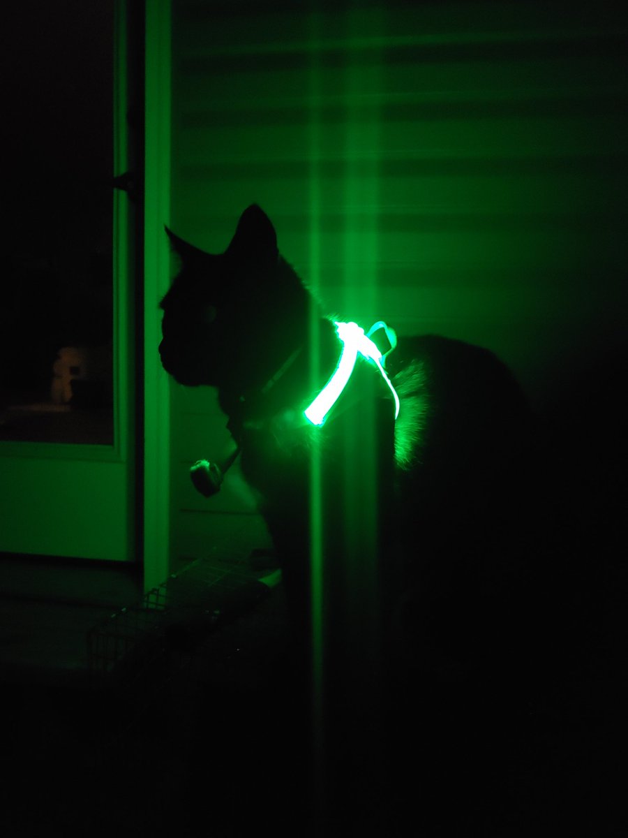 Congratulations to this week's #noxgear winner, Joseph!

Occasionally, we see non-dogs wearing the LightHound.  It's always share-worthy when we do. :) 

#noxgearnation, post your awesome photos using the #noxgear hashtag and you may be our next winner!