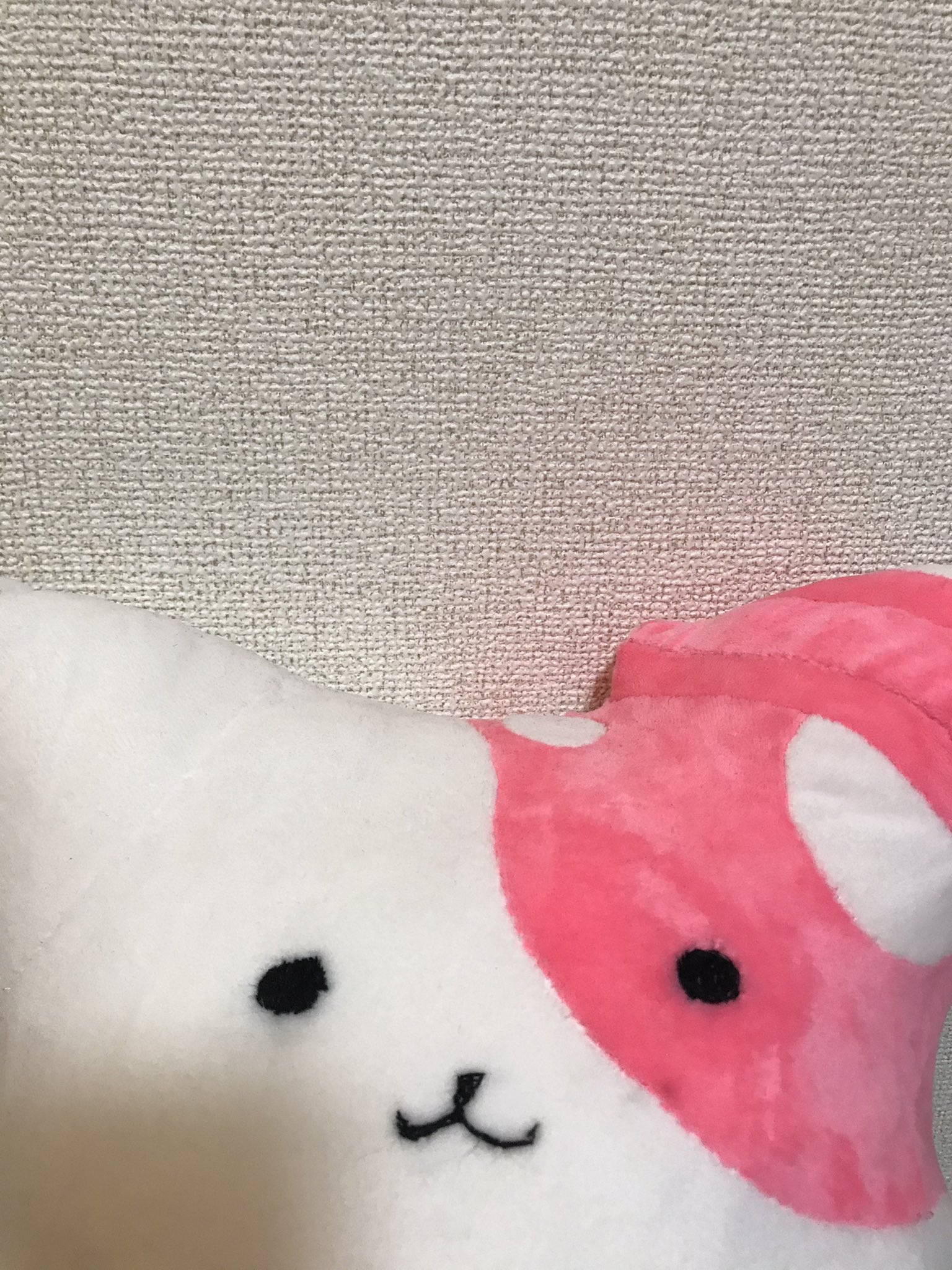 Hanna きのこいぬ という漫画が好きすぎて作った非公式ぬいぐるみ ミシンという文明器具がない為推しへの愛を原動力に手縫いでwwきのこいぬウチにも来て欲しいよー きのこいぬ きのこいぬファンアート T Co 93hmbdeomj Twitter