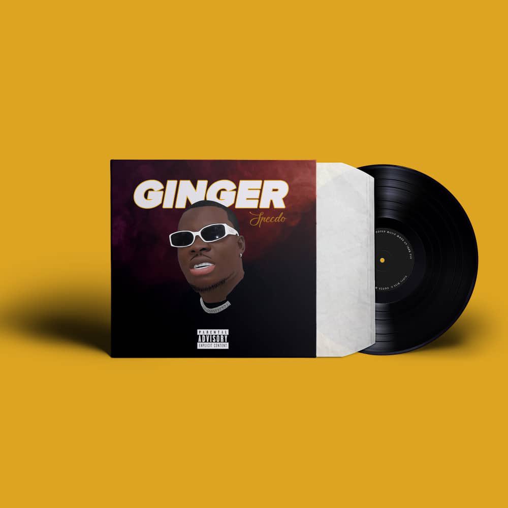 20M  ALBUM 200M PROFIT NO ONE DO IT BETTER THAN ME 🙅🏿 

#specdoginger 
#specdoalbums