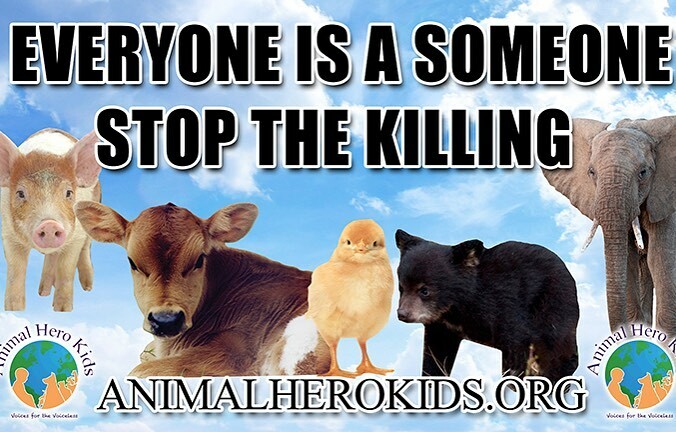 Everyone is a someone! Humans excel on a vegan diet, we do not need to kill others to live Watch @gamechangersmovie to see excellence in health and plant power in action #govegan #notimetowaste #stop #stopkilling #kind2all #animalherokidsvoicesforthevoicelessbook #animalhero…