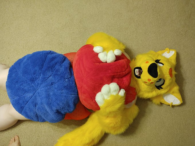 Friday!! wohoo almost the weekend. Looking foward to dropping a new video for you guys on monday! OwO  kitty<a href="/tag/furry"class="tags"><span>#furry</span></a><a href="/tag/fursuitfriday"class="tags"><span>#fursuitfriday</span></a><a href="/tag/fursuiter"class="tags"><span>#fursuiter</span></a>