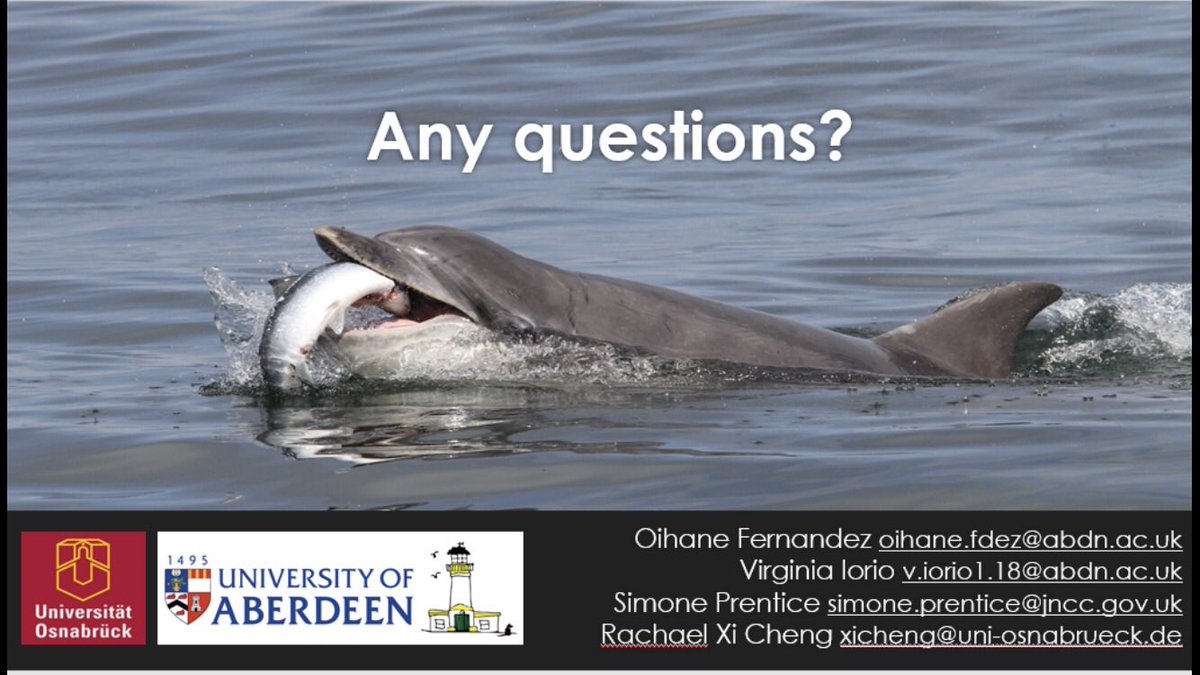 Dr Anneli Lofstedt (@anneli_lof01) on Twitter photo Slick presentation on the use of #AI to detect bottlenose dolphin calls in the Moray Firth from <a href="/UoABioSci/">School of Biological Sciences</a> <a href="/CromartyLH/">Lighthouse Field Stn</a> researchers <a href="/virgiIorio/">Virginia Iorio</a>, <a href="/OihaneFdez/">Dr Oihane Fernandez</a> and <a href="/PrenticeSimone/">Simone Prentice</a> 🐬 Such a great example of #collaboration 👏🏼👏🏼 Slick presentation on the use of #AI to detect bottlenose dolphin calls in the Moray Firth from <a href="/UoABioSci/">School of Biological Sciences</a> <a href="/CromartyLH/">Lighthouse Field Stn</a> researchers <a href="/virgiIorio/">Virginia Iorio</a>, <a href="/OihaneFdez/">Dr Oihane Fernandez</a> and <a href="/PrenticeSimone/">Simone Prentice</a> 🐬 Such a great example of #collaboration 👏🏼👏🏼