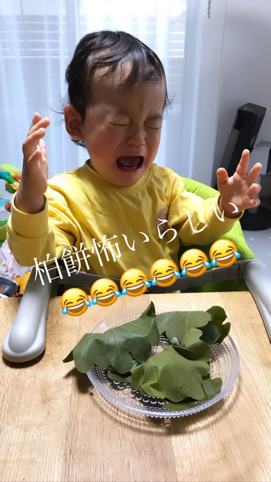 髪をキレイにする為のページ 子供の日 柏餅怖いらしい こどもの日 子供の日 赤ちゃん 面白画像 T Co Vbezxmrq4v Twitter