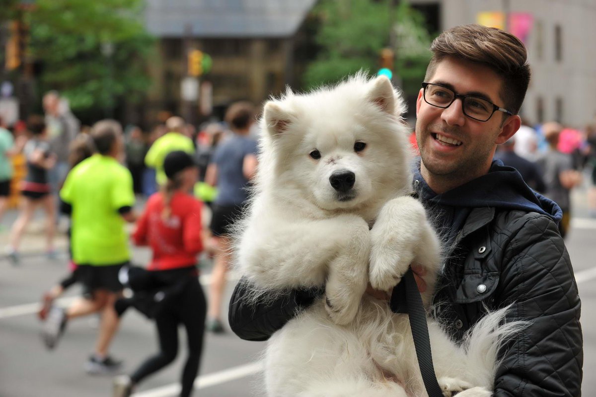 IBXRun10's tweet photo. Whether they’re training with you or cheering you on, dogs are a runner’s best friend. Check out a few of our favorite #BCBSR pup pics from throughout the years and post a photo of your furry running buddy in the comments! 🐶🐾 #NationalPetWeek https://t.co/S5lx5WvKGU