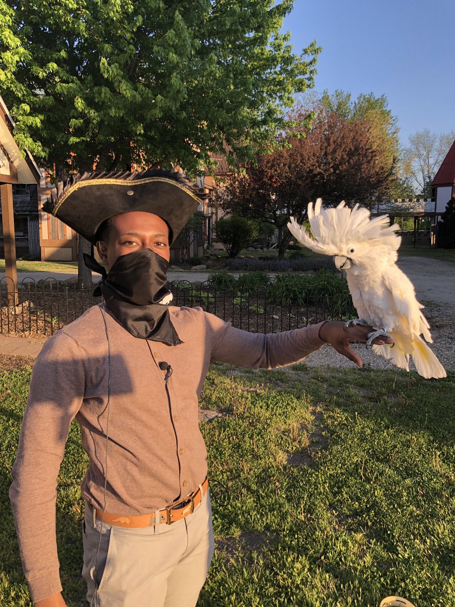 Meet Babs the cockatoo!  He will be performing at <a href="/SleepyHollowRen/">The Renaissance Faire at Sleepy Hollow</a> with his partner Logan Jimenez this weekend.