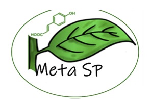 Les membres du réseau MétaSP organisent leur 12ème rencontre scientifique bisannuelle en visio-conférence. Vous trouverez le programme ici.

Pour plus d'information rendez-vous sur sur la page internet  du réseau.

gdr-o3.cnrs.fr/2021/05/07/jou…