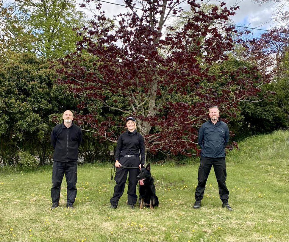 wiltspolicedogs's tweet image. Say hello to our latest dog team, Pc Casey Smith and PD Ross were licensed today by Pc Rich Hunt (R) from Glos Police, instructor Pc Neil Parsons (L) says it’s amazing as 5 weeks ago Ross was very poorly and we weren’t sure he’d pull through, good luck team 😀