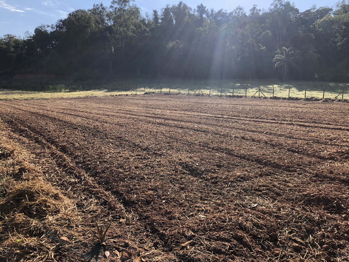 First field trials on the ground! #MachadoLabinaction Thanks <a href="/Gabriel97260369/">Gabriel Ferreira Paiva</a> <a href="/Joao_P_Ascari/">João Paulo Ascari</a>