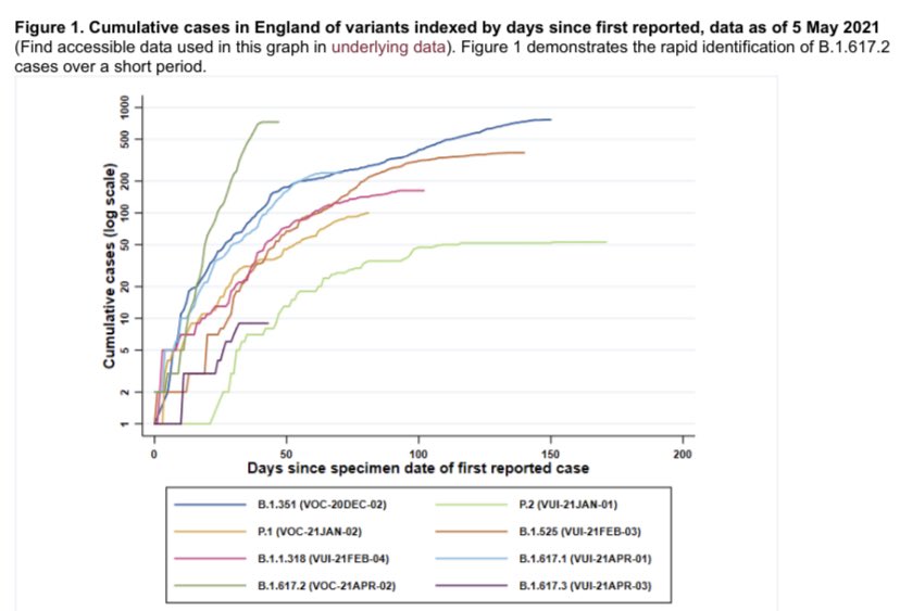 This graph shows the rapid rise in B1.617.2 cases compared to other VOC/VUIs, indexed by first specimen date