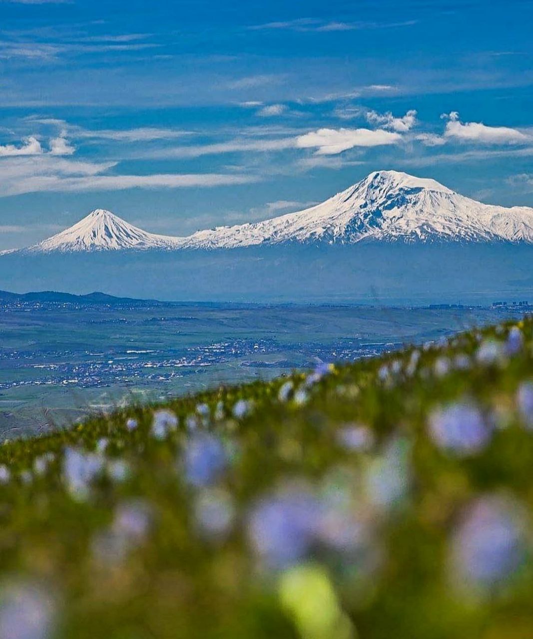 Армения Арарат