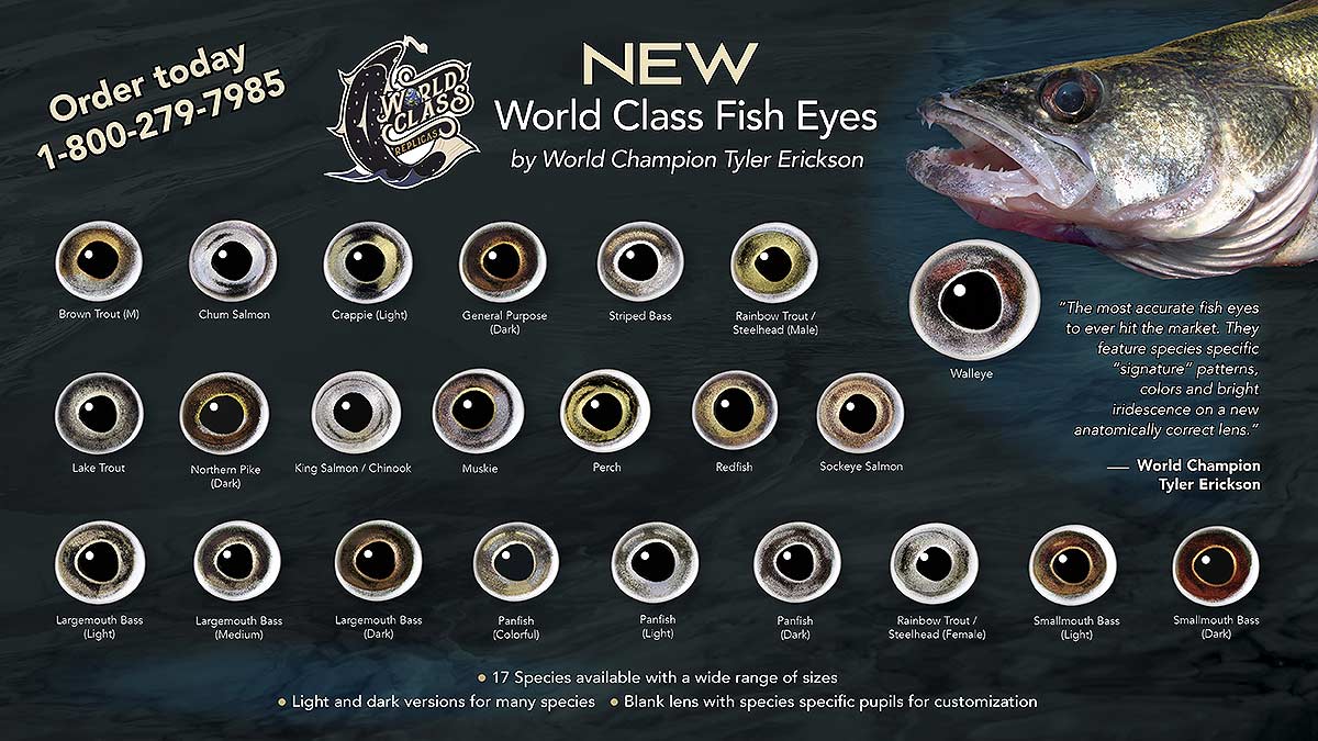 Mckenzie Taxidermy Supply New World Class Fish Eyes By World Champion Tyler Erickson 17 Species Available Ultra Realistic 1 800 279 7985 T Co 0s40qk2ysp T Co Sqtcbetnni T Co Uqvjaynzdy Twitter