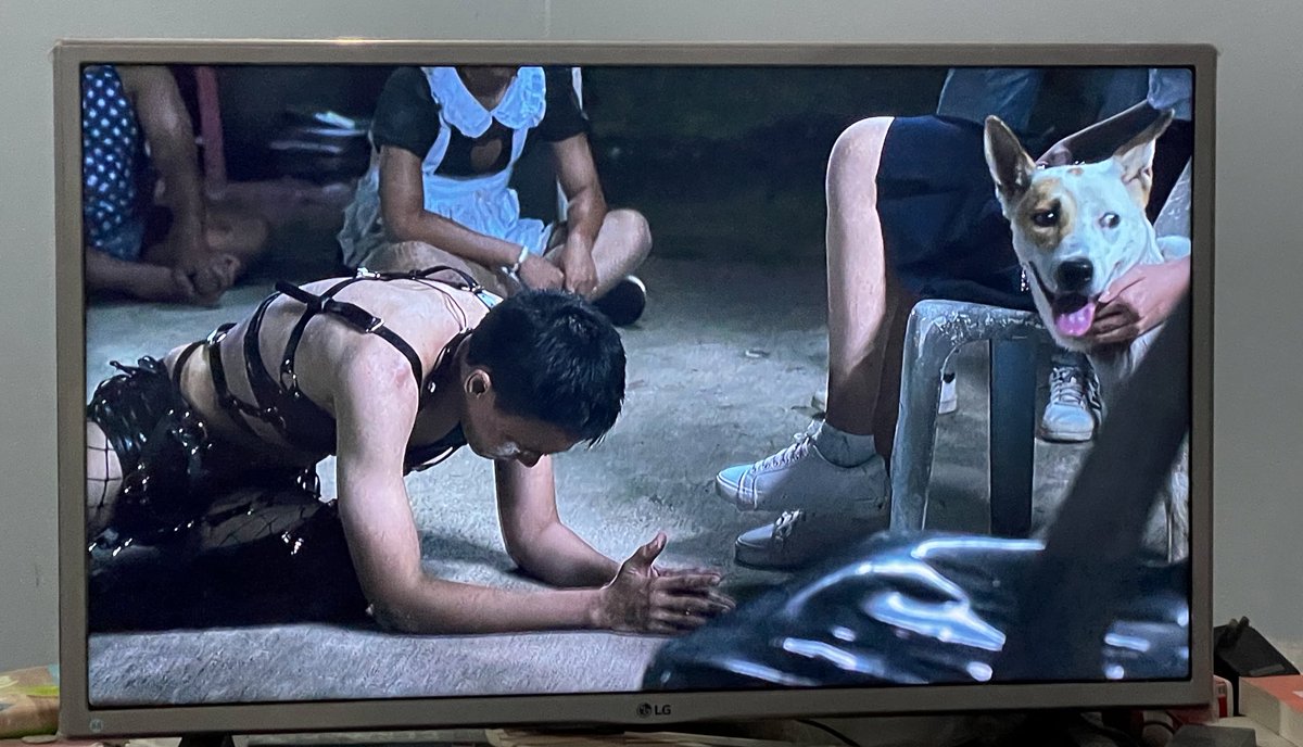 Bahdintrphat's tweet image. ชั้นว่า #เด็กใหม่2 นี่แปลกๆ นะ ทำอย่างกับไม่เคยเห็นคนกราบหมา