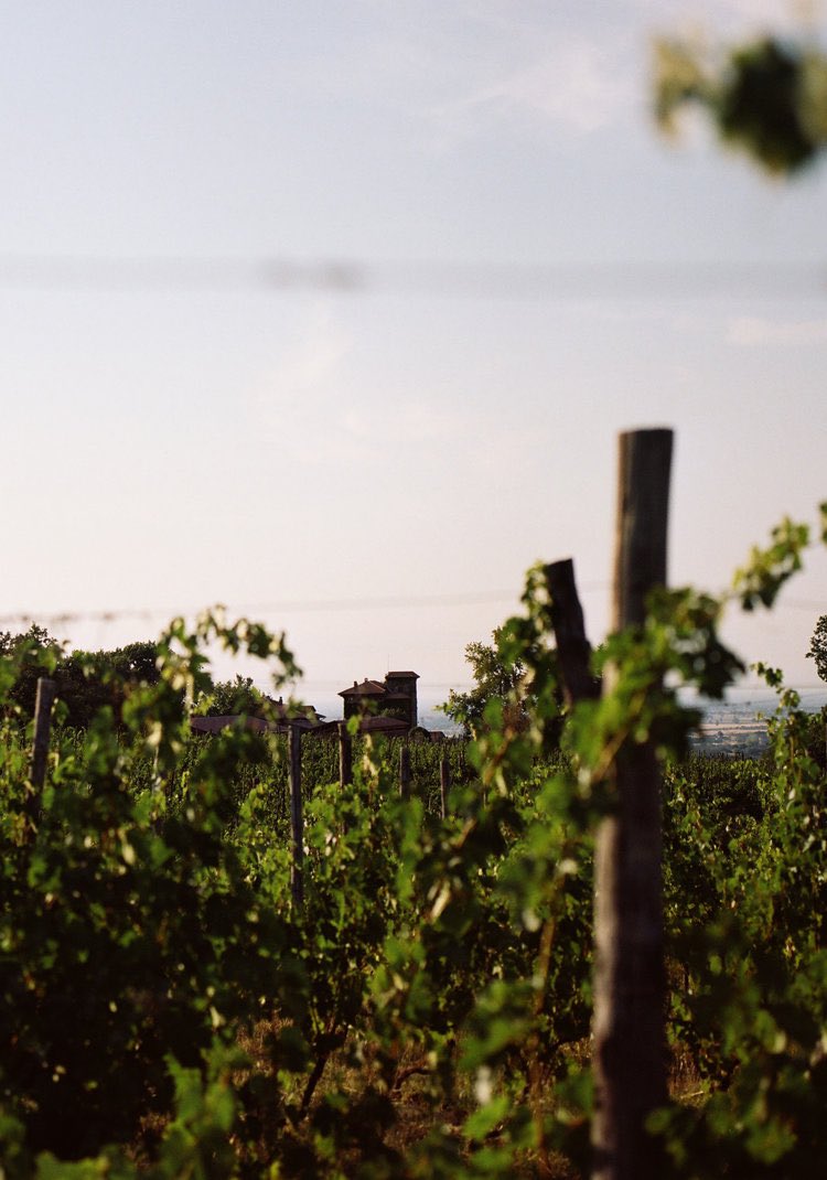 wineoneway tweet media