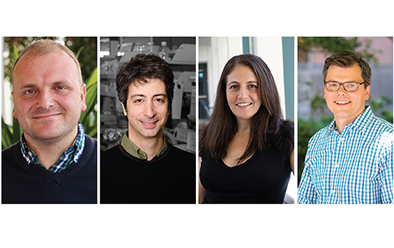 MbD_CCRM's tweet photo. Excited to be able to announce the four projects that will help prepare the ground for the future of #regenmed through the #GrandQuestions. Thank you for sharing your ambitious visions for the future at the event today. Learn about the projects: ➡️https://t.co/HZKaB49aLF https://t.co/DvlQS6WhhB