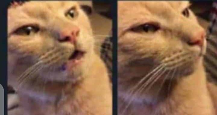 spencer_lolley's tweet image. Now how will i explain to my girlfriend that Roma won 3:2 but #mufc still qualified #MUNROM